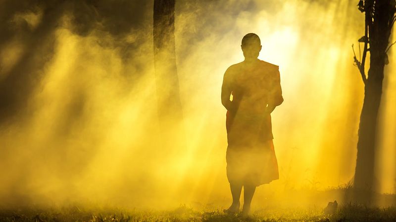 4 Lessons You Can Use From Wu Wei